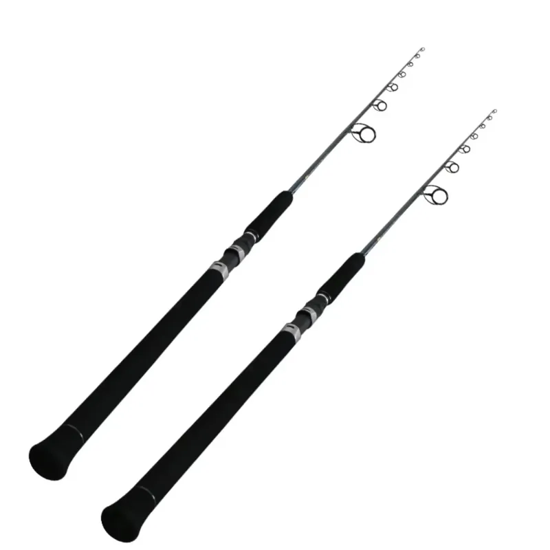 Fishing Rod Spinning - Neues Design 2,51m FUJI Rute Hochkarbon