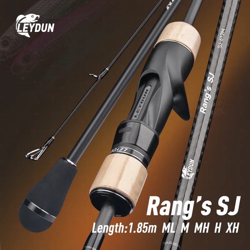 LEYDUN Rang’s SJ Slow Jigging  – Fishing Rod Surf Bewertung und Preis